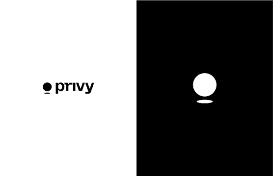 Privy - Top 10 embedded wallet SDKs for Web3 applications