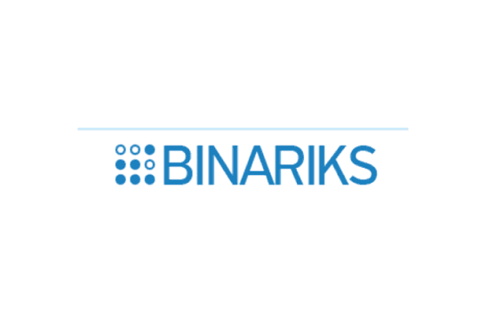 Binariks - Top 10 digital banking software development companies for financial institutions