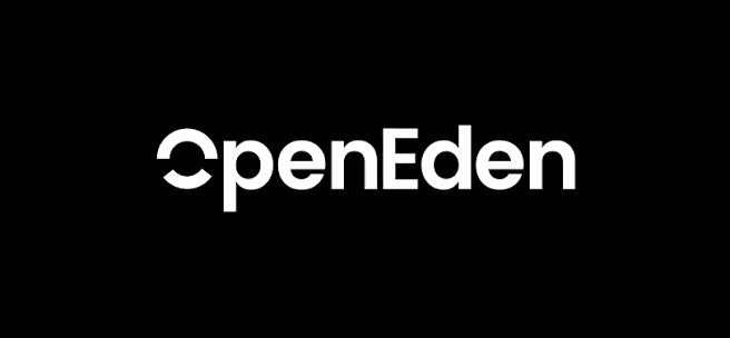 OpenEden - Top 10 tokenized money market fund platforms in 2026